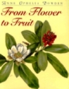 From flower to fruit