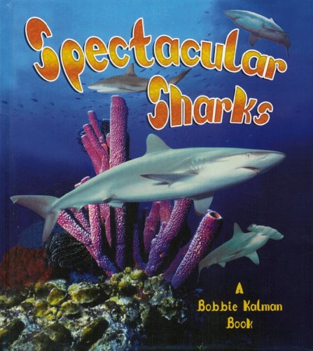 Spectacular sharks