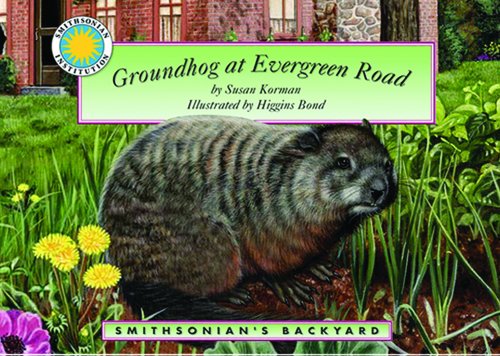 Groundhog at Evergreen Road