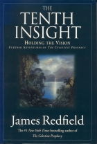 The tenth insight: holding the vision