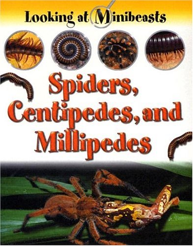 Spiders, centipedes, and millipedes