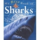 The best book of sharks