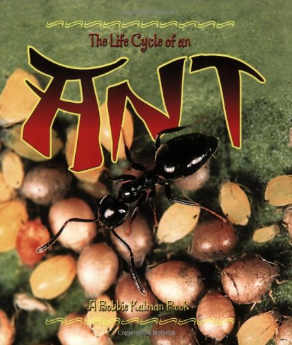 The life cycle of an ant