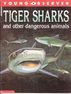 Tiger sharks and other dangerous animals