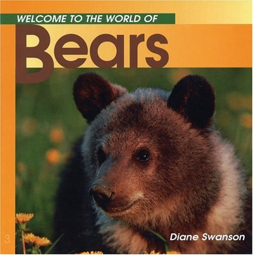 Welcome to the world of bears