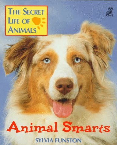 Animal smarts