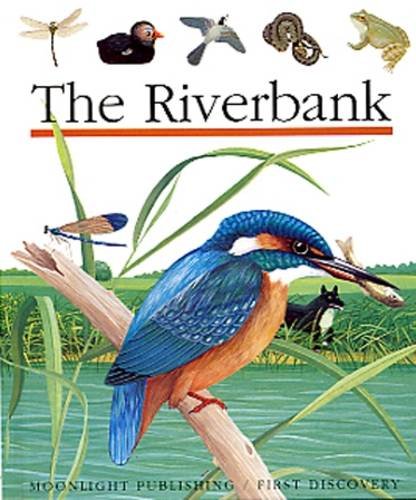 The riverbank