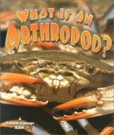 What is an arthropod?