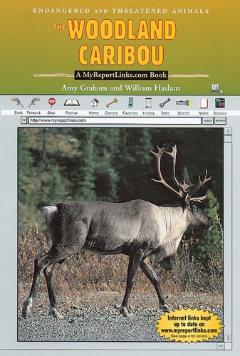 The woodland caribou