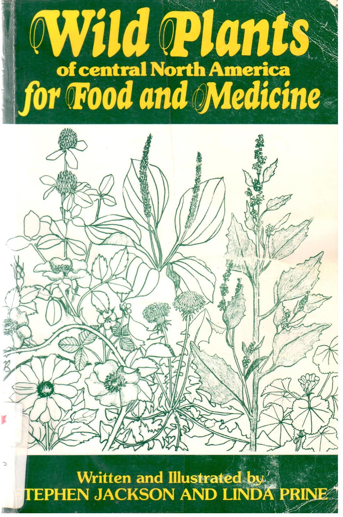 Wild plants of central North America for food and medicine