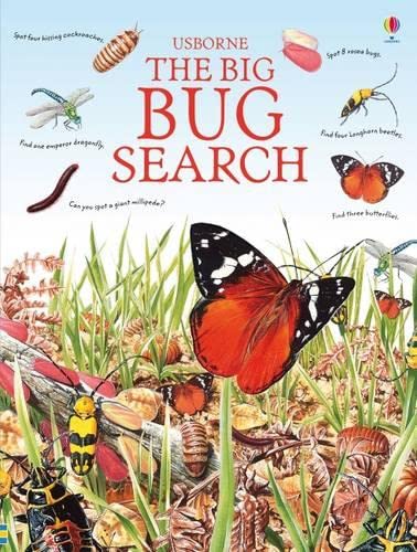 Usborne: the big bug search