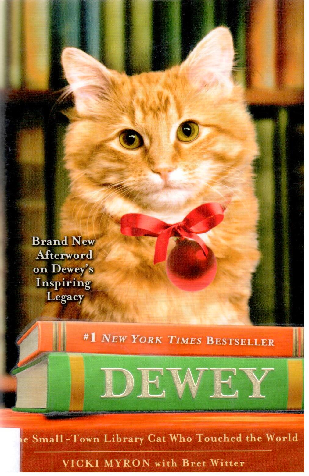 Dewey : the small-town library cat who touched the world