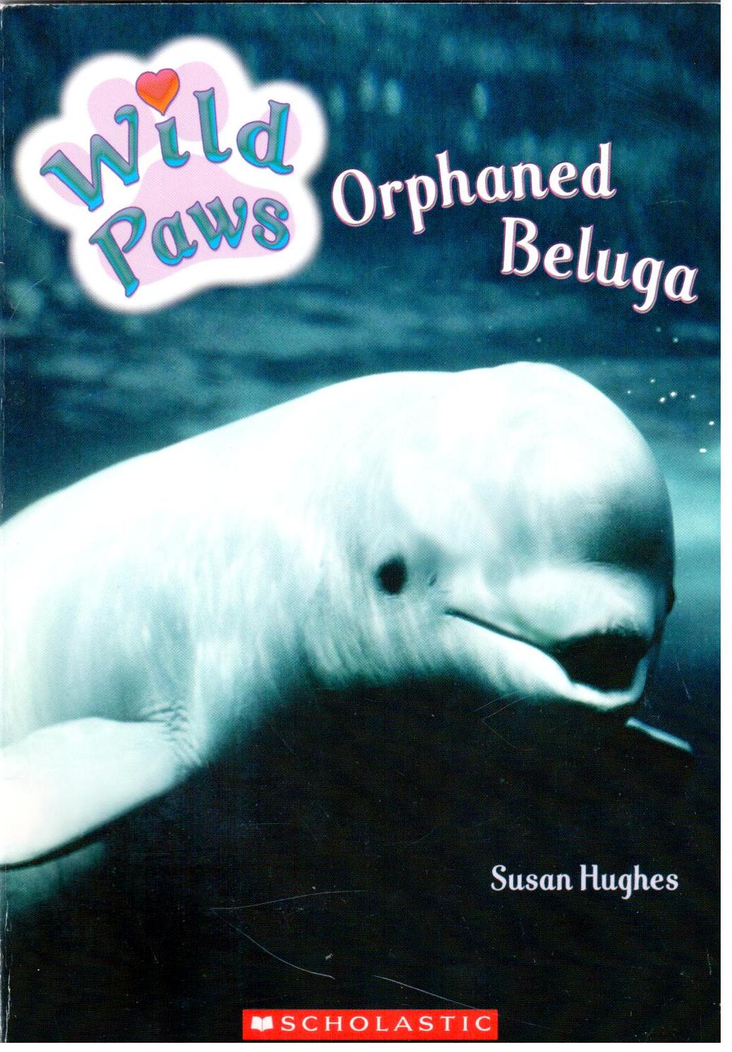 Orphaned beluga