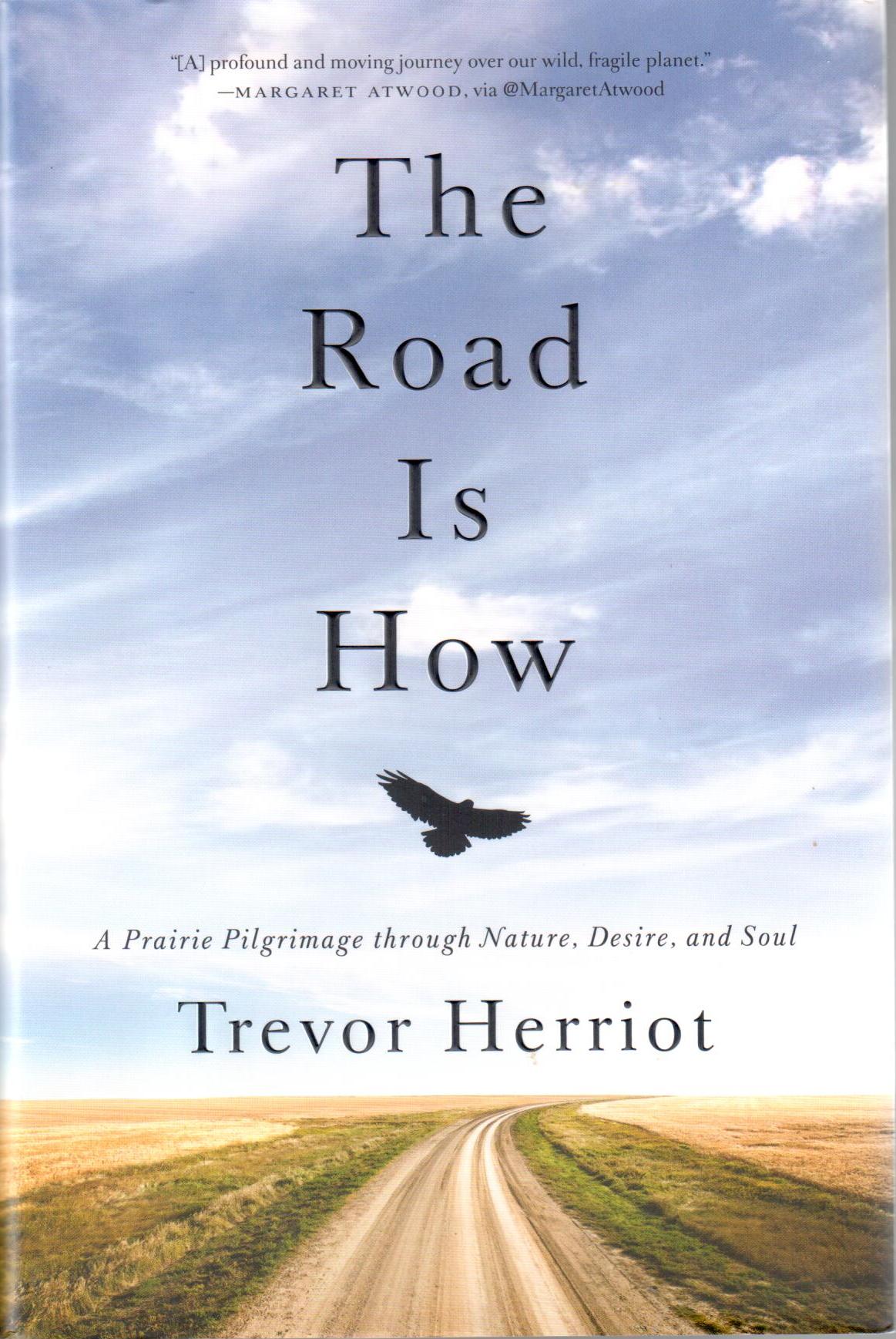 The road is how : a prairie pilgrimage through nature, desire and soul