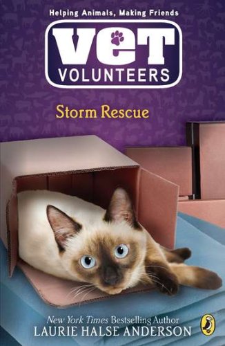 Storm rescue