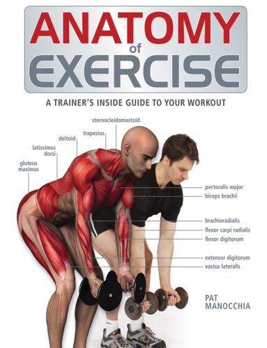 Anatomy of exercise : a trainer's guide to your workout