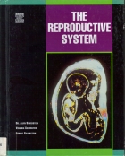 The reproductive system