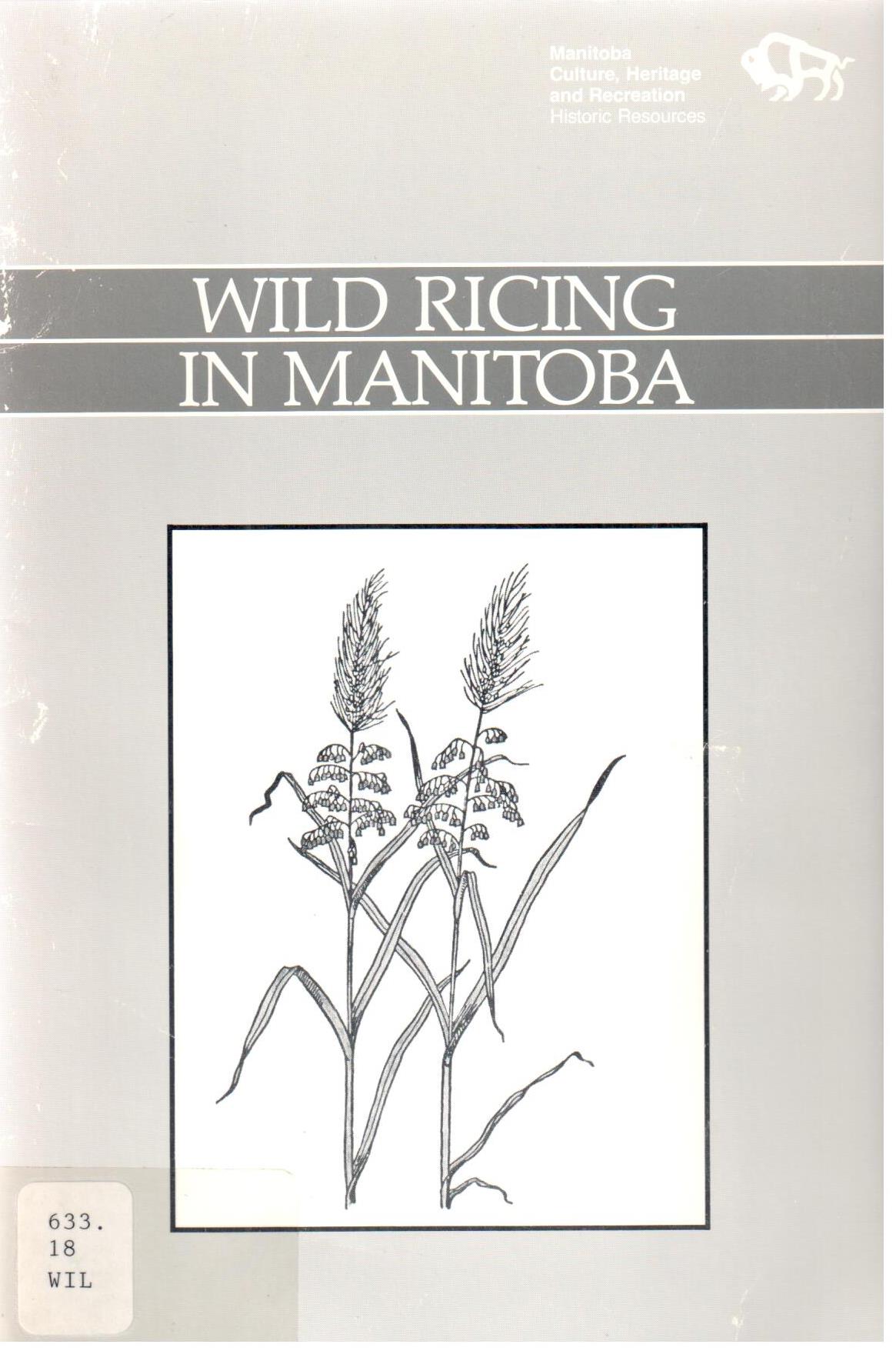 Wild ricing in Manitoba