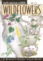 Wildflowers