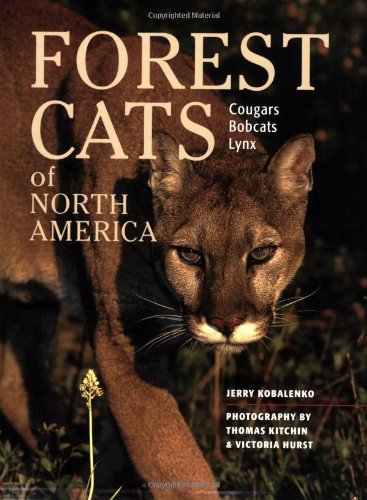 Forest cats of North America