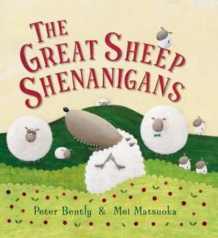 The great sheep shenanigans