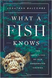 What a fish knows : the inner lives of our underwater cousins