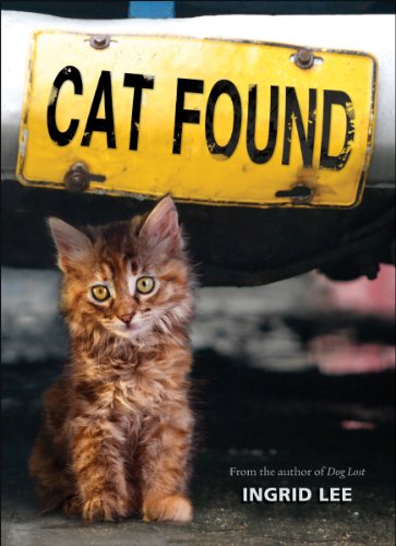 Cat found