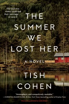 The summer we lost her : a novel