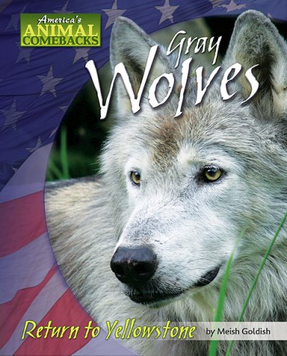 Gray Wolves : Return to Yellowstone.