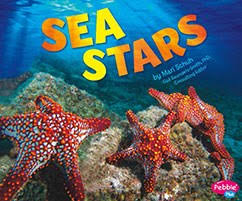 Seastars