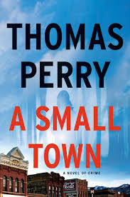 A Small Town : a novel