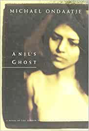 Anil's ghost