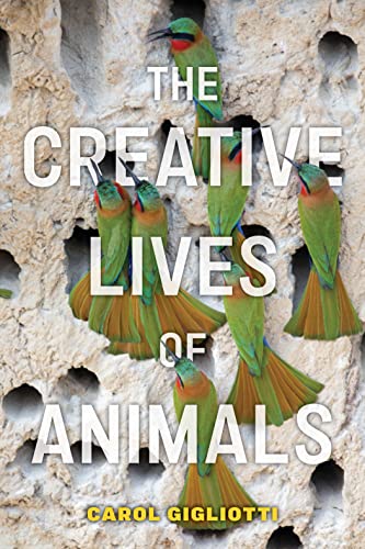 The creative lives of animals