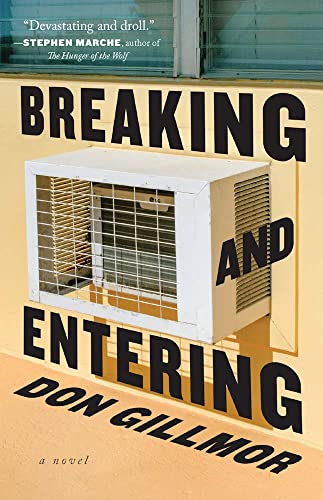 Breaking and entering : a novel