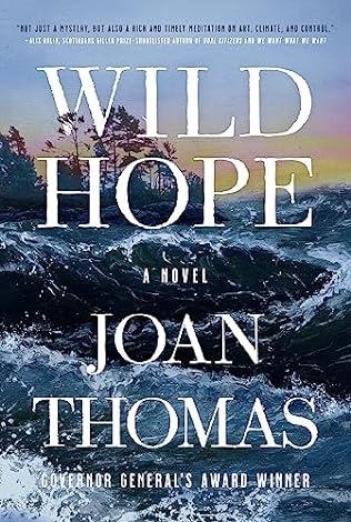 Wild hope : a novel