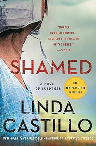 Shamed : a novel of suspense