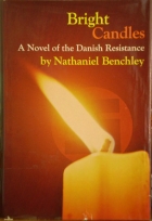 Bright candles; : a novel of the Danish resistance